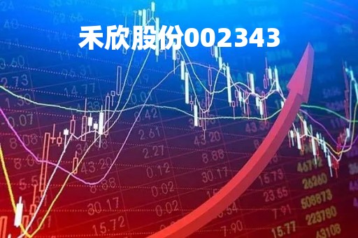 禾欣股份002343