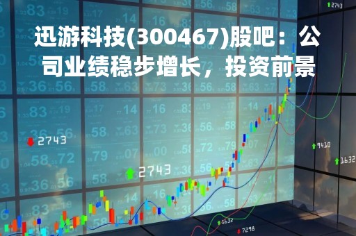 迅游科技(300467)股吧：公司业绩稳步增长，投资前景广阔