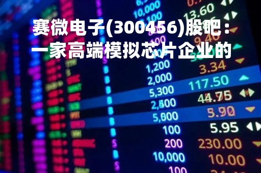 赛微电子(300456)股吧：一家高端模拟芯片企业的发展现状