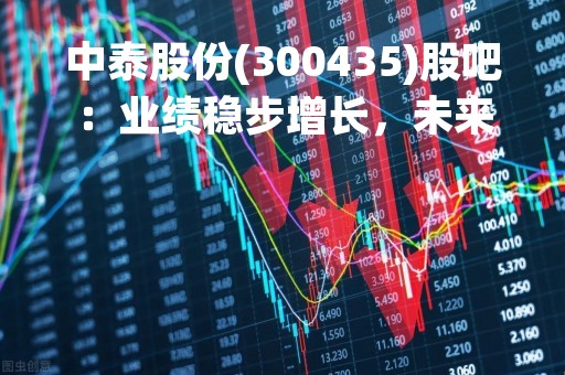 中泰股份(300435)股吧：业绩稳步增长，未来前景广阔