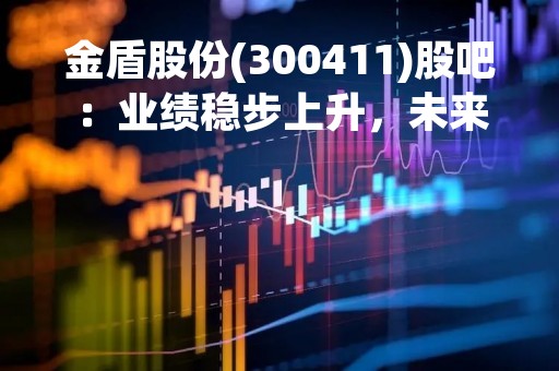 金盾股份(300411)股吧：业绩稳步上升，未来发展潜力巨大