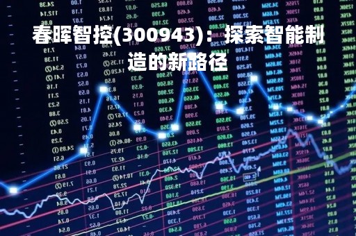 春晖智控(300943)：探索智能制造的新路径