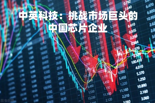 中英科技：挑战市场巨头的中国芯片企业