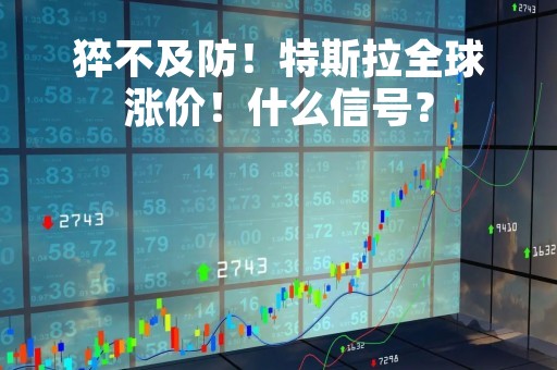 猝不及防！特斯拉全球涨价！什么信号？