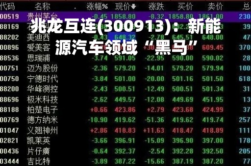 兆龙互连(300913)：新能源汽车领域“黑马”