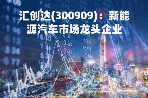 汇创达(300909)：新能源汽车市场龙头企业