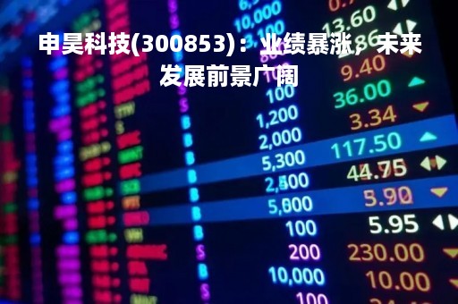 申昊科技(300853)：业绩暴涨，未来发展前景广阔
