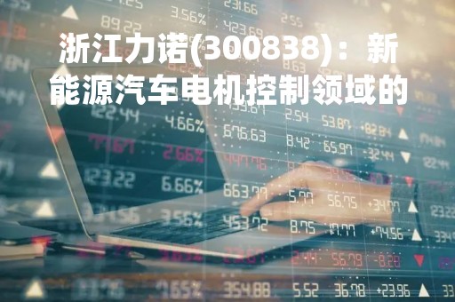 浙江力诺(300838)：新能源汽车电机控制领域的领先企业