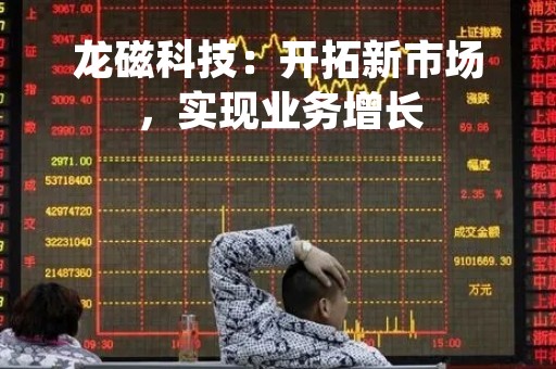龙磁科技：开拓新市场，实现业务增长