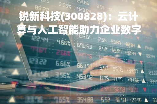 锐新科技(300828)：云计算与人工智能助力企业数字化转型