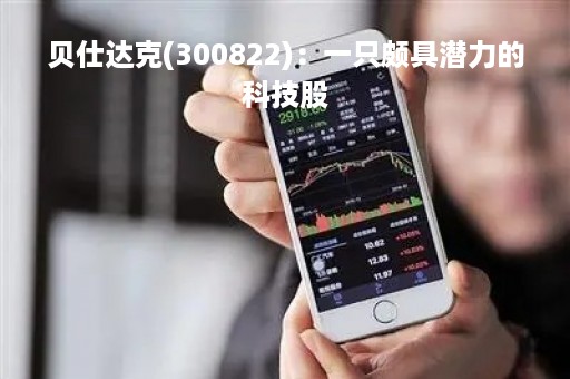 贝仕达克(300822)：一只颇具潜力的科技股