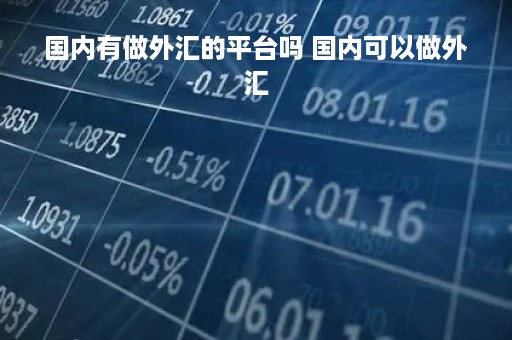 国内有做外汇的平台吗 国内可以做外汇
