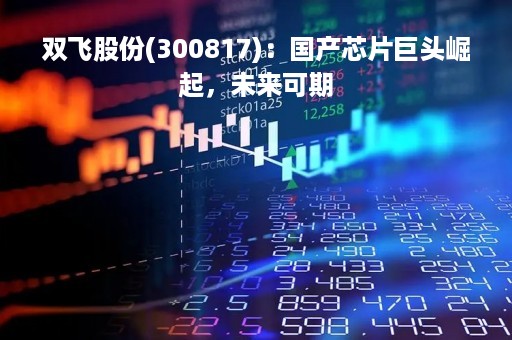 双飞股份(300817)：国产芯片巨头崛起，未来可期