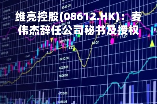 维亮控股(08612.HK)：麦伟杰辞任公司秘书及授权代表  陈乐燕接任
