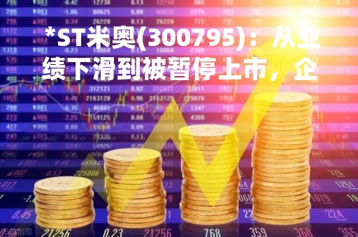  *ST米奥(300795)：从业绩下滑到被暂停上市，企业该如何应对？