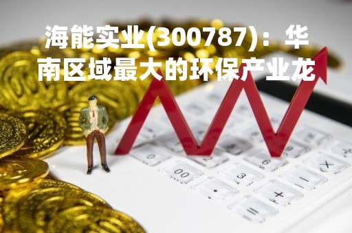 海能实业(300787)：华南区域最大的环保产业龙头企业