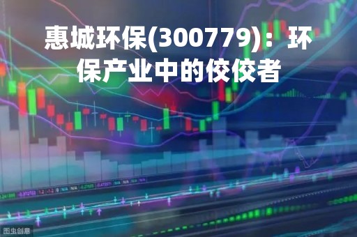 惠城环保(300779)：环保产业中的佼佼者