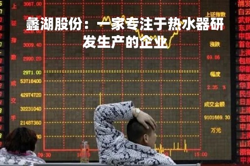 蠡湖股份：一家专注于热水器研发生产的企业