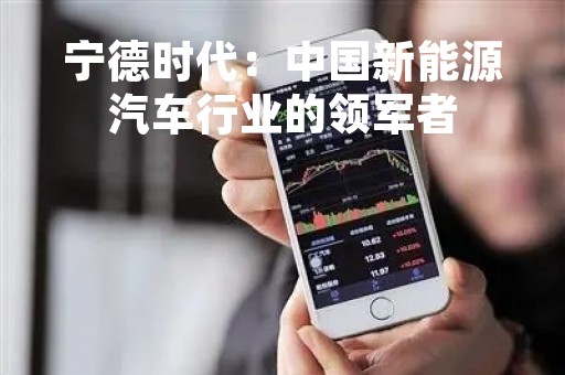 宁德时代：中国新能源汽车行业的领军者