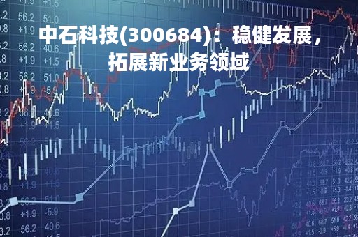 中石科技(300684)：稳健发展，拓展新业务领域