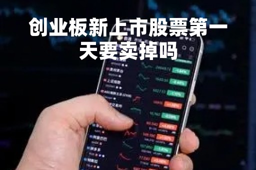 创业板新上市股票第一天要卖掉吗