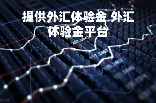 提供外汇体验金 外汇体验金平台