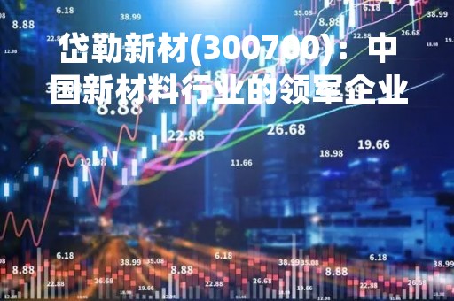 岱勒新材(300700)：中国新材料行业的领军企业