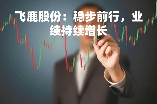 飞鹿股份：稳步前行，业绩持续增长
