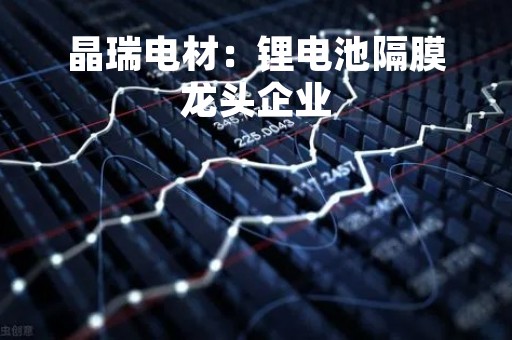 晶瑞电材：锂电池隔膜龙头企业