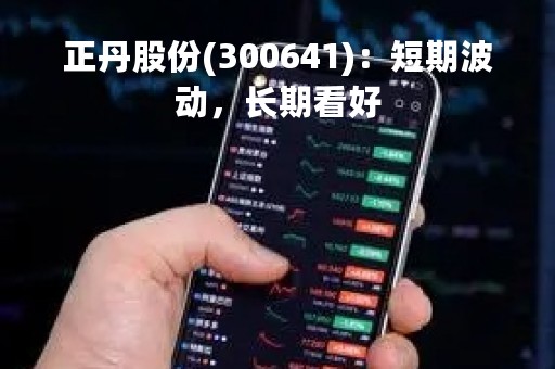 正丹股份(300641):短期波动,长期看好
