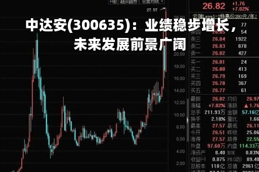 中达安(300635)：业绩稳步增长，未来发展前景广阔