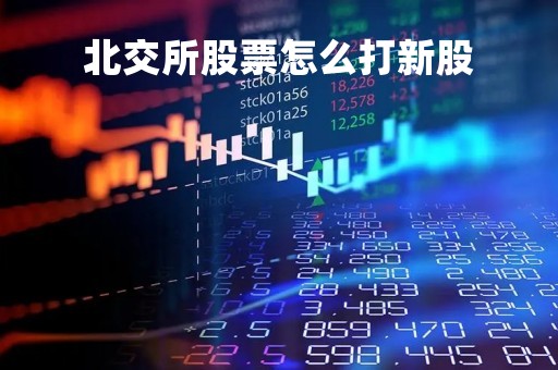 北交所股票怎么打新股