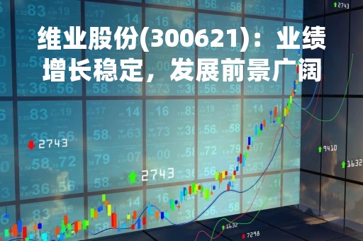 维业股份(300621)：业绩增长稳定，发展前景广阔