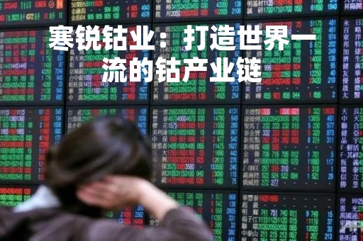 寒锐钴业：打造世界一流的钴产业链