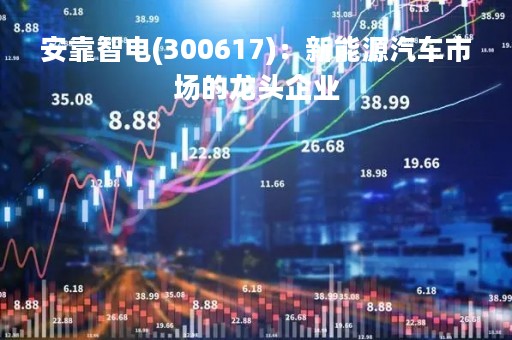 安靠智电(300617)：新能源汽车市场的龙头企业