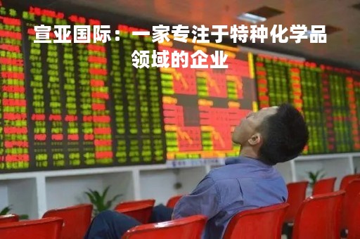 宣亚国际：一家专注于特种化学品领域的企业