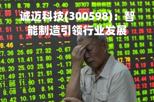 诚迈科技(300598)：智能制造引领行业发展