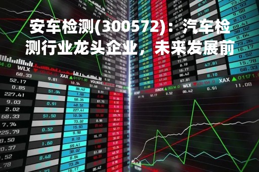 安车检测(300572)：汽车检测行业龙头企业，未来发展前景广阔