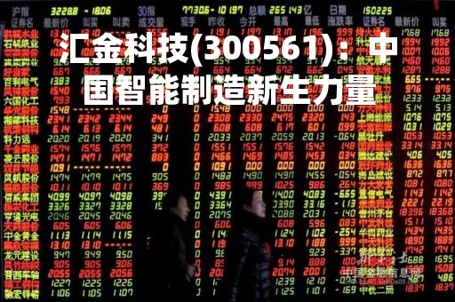 汇金科技(300561)：中国智能制造新生力量