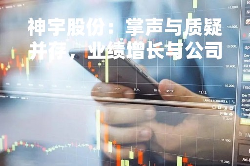 神宇股份：掌声与质疑并存，业绩增长与公司治理待观察