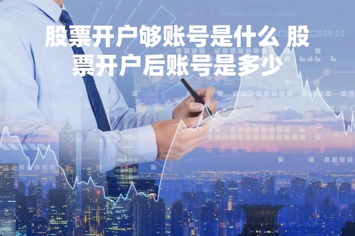 股票开户够账号是什么 股票开户后账号是多少