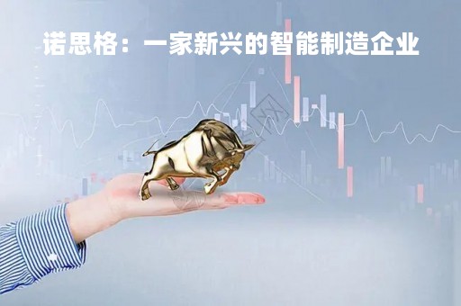 诺思格：一家新兴的智能制造企业