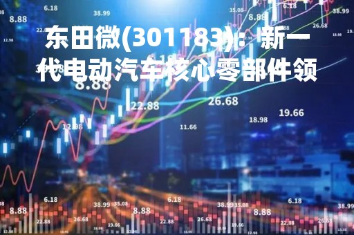 东田微(301183)：新一代电动汽车核心零部件领军者