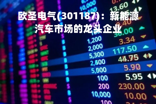 欧圣电气(301187)：新能源汽车市场的龙头企业