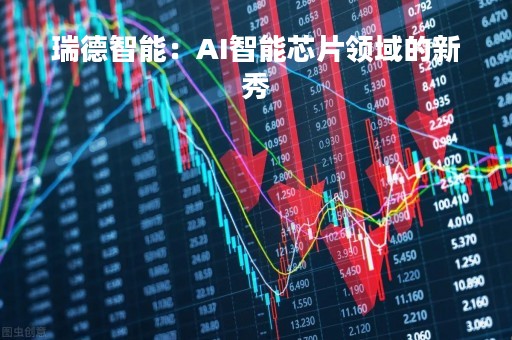 瑞德智能：AI智能芯片领域的新秀