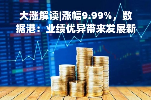 大涨解读|涨幅9.99%，数据港：业绩优异带来发展新机遇
