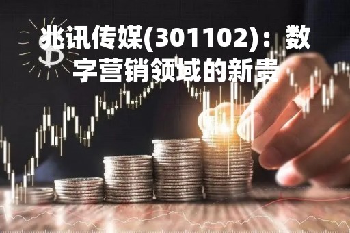 兆讯传媒(301102)：数字营销领域的新贵