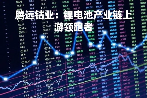腾远钴业：锂电池产业链上游领跑者