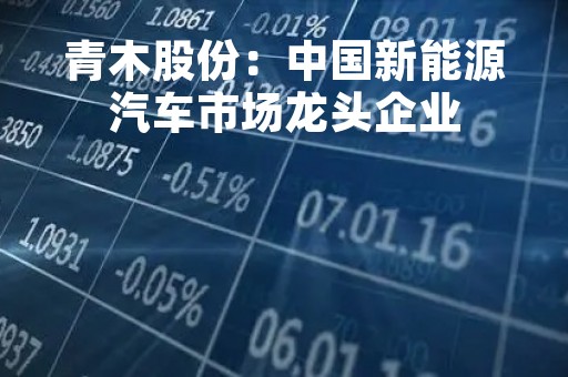 青木股份：中国新能源汽车市场龙头企业