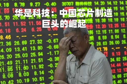 华是科技：中国芯片制造巨头的崛起